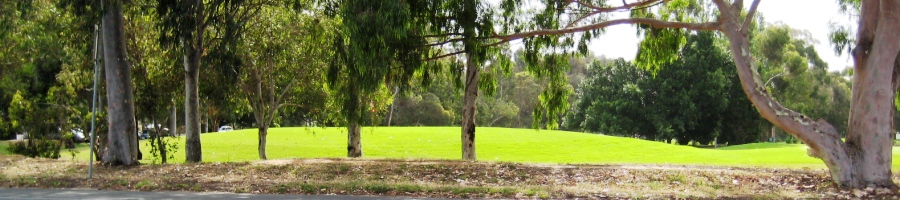 Montefiore Rd, North Adelaide