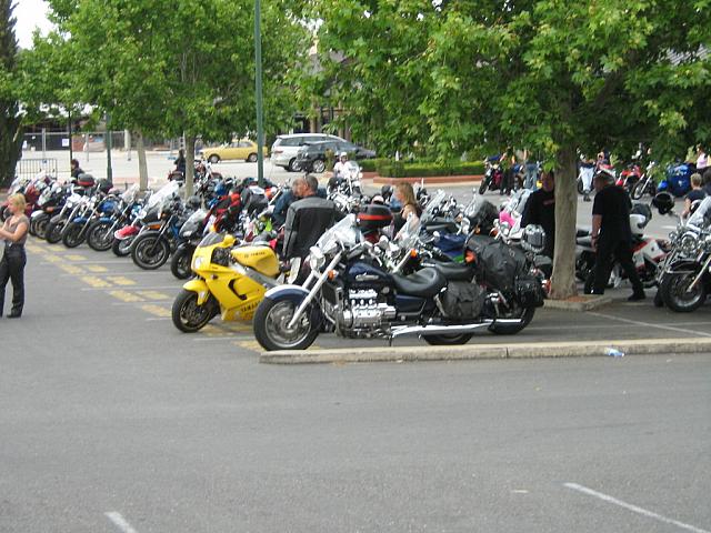 IMG_2290.JPG