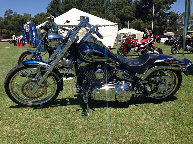 TR2014 SShine 3017