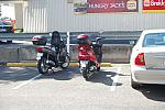 IMGP3733.JPG