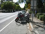 IMG_5128.JPG