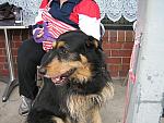 IMG_5199.JPG