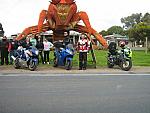 IMG_6535.JPG