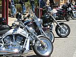 IMG_2863.JPG