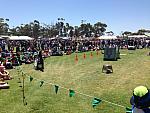 ExtremeTrials 74