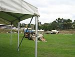 IMG_5901.JPG